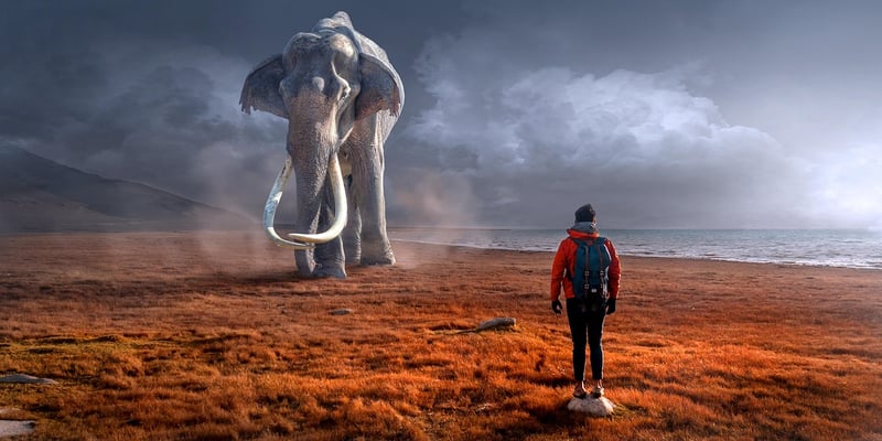 Mystical Landscape